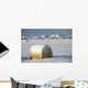 Snow-Covered Hay Bales Wall Mural