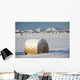 Snow-Covered Hay Bales Wall Mural