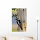 Downy Woodpecker Male Wall Mural