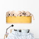 Basket of Pooped Puppies Wall Decal
