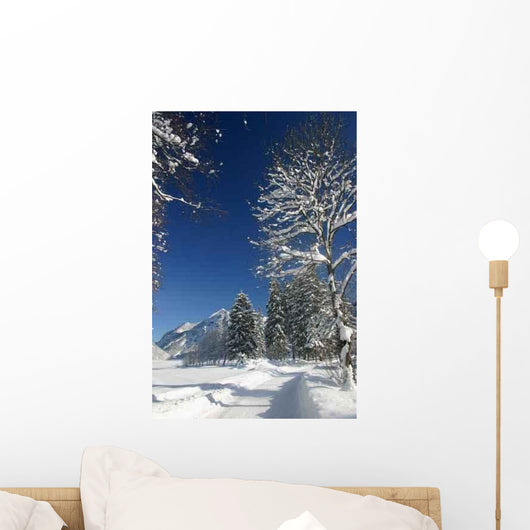Winterweg Wall Decal