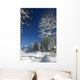 Winterweg Wall Decal