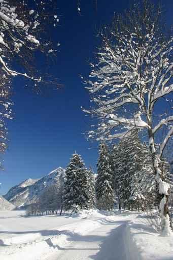 Winterweg Wall Decal