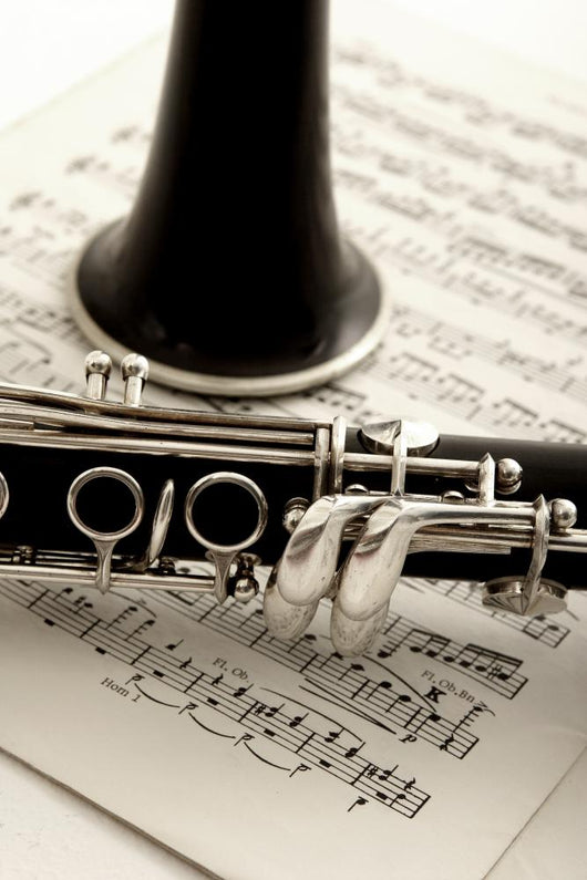 Clarinet and Sheet Music Wall Decal