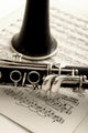 Clarinet and Sheet Music Wall Decal