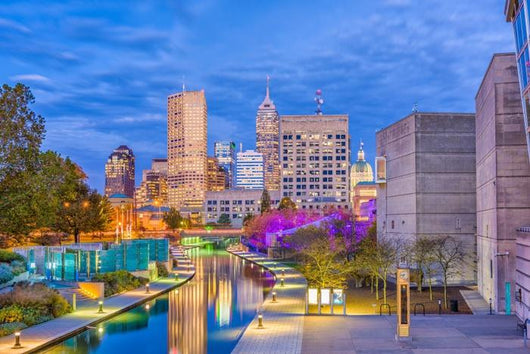 Indianapolis Indiana USA over Wall Decal