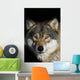 Wolf Wall Mural
