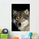 Wolf Wall Mural