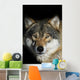 Wolf Wall Mural