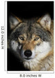 Wolf Wall Mural