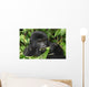 Wild Gorilla Wall Mural
