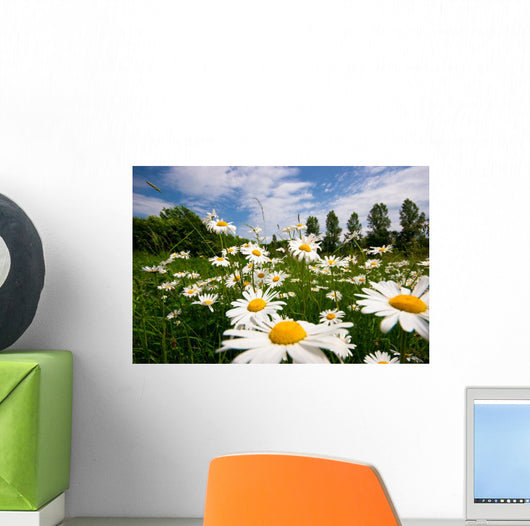 Spring Meadow Wall Mural