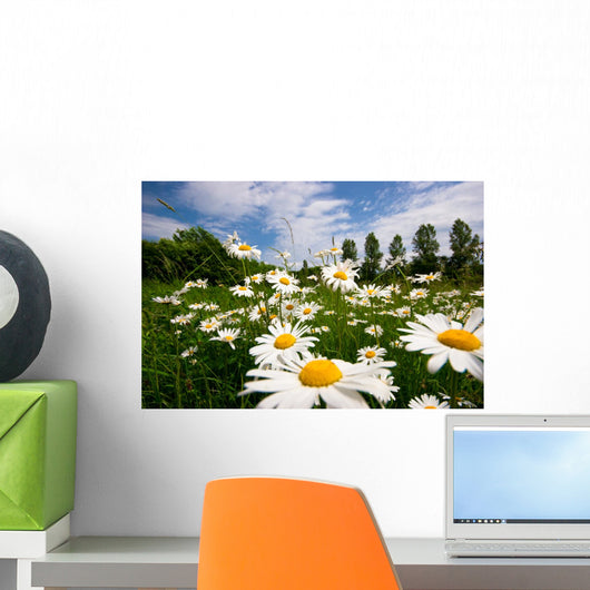 Spring Meadow Wall Mural
