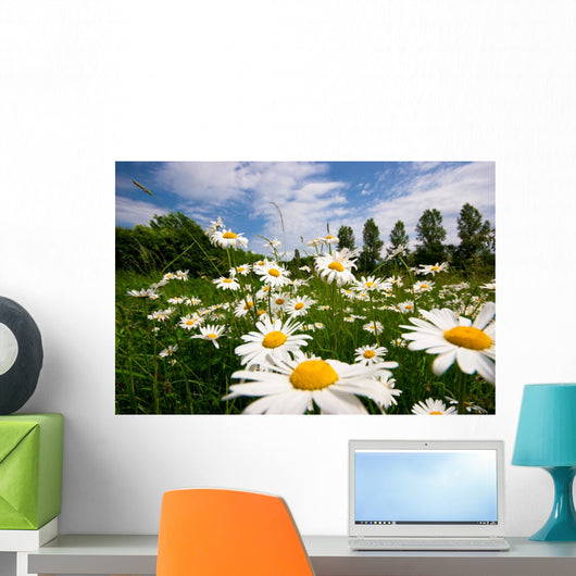 Spring Meadow Wall Mural