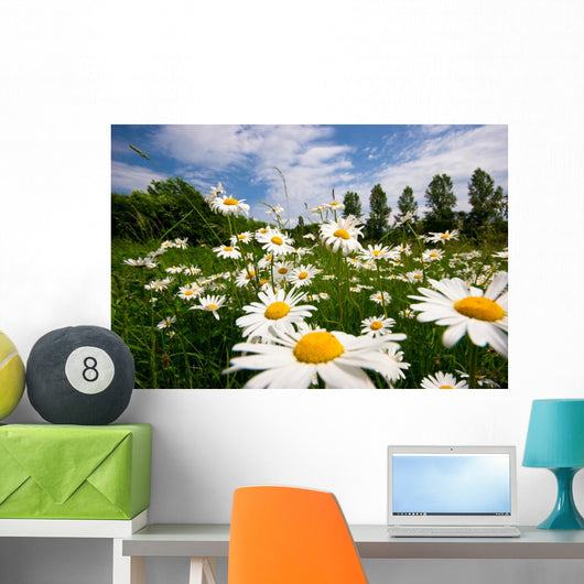 Spring Meadow Wall Mural