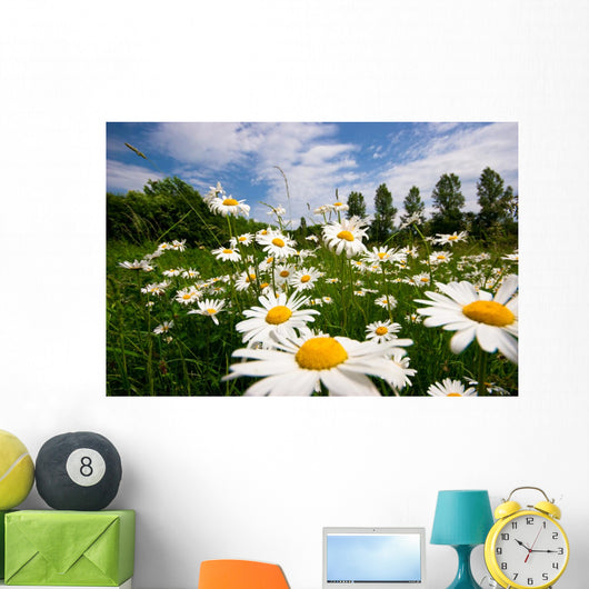 Spring Meadow Wall Mural