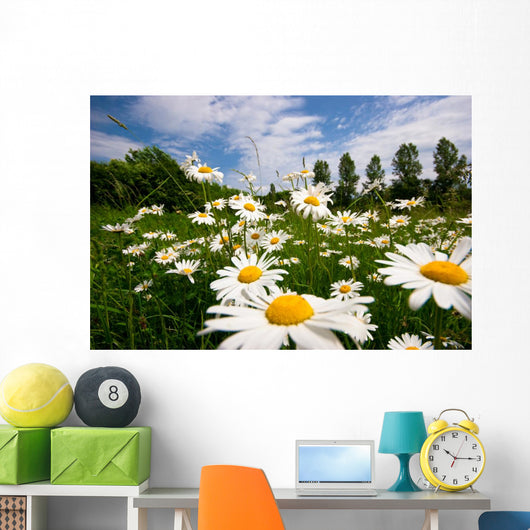 Spring Meadow Wall Mural