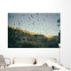 Wild bats Wall Mural