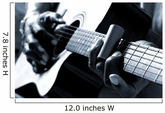African American man playing guitar Wall Mural