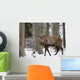 Rothirsch Wall Mural