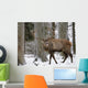 Rothirsch Wall Mural