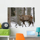 Rothirsch Wall Mural