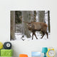Rothirsch Wall Mural