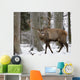Rothirsch Wall Mural