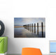Groynes Wall Mural