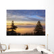 Sunrise Through Morning Fog Wall Mural