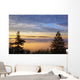 Sunrise Through Morning Fog Wall Mural