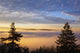Sunrise Through Morning Fog Wall Mural