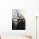 Sunrise Through The Morning Fog Wall Mural