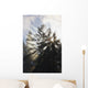 Sunrise Through The Morning Fog Wall Mural