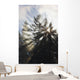 Sunrise Through The Morning Fog Wall Mural