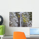 Snow Adds Beauty To Latourell Falls Wall Mural