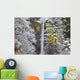 Snow Adds Beauty To Latourell Falls Wall Mural