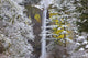 Snow Adds Beauty To Latourell Falls Wall Mural