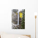 Snow Adds Beauty To Latourell Falls Wall Mural