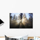 Sun Shining Through Morning Fog And Trees Wall Mural