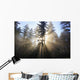 Sun Shining Through Morning Fog And Trees Wall Mural