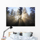 Sun Shining Through Morning Fog And Trees Wall Mural