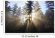 Sun Shining Through Morning Fog And Trees Wall Mural