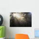Sun Shining Through Morning Fog And Trees Wall Mural