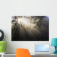 Sun Shining Through Morning Fog And Trees Wall Mural