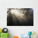 Sun Shining Through Morning Fog And Trees Wall Mural