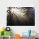 Sun Shining Through Morning Fog And Trees Wall Mural