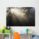 Sun Shining Through Morning Fog And Trees Wall Mural