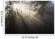 Sun Shining Through Morning Fog And Trees Wall Mural