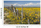 Wildflowers Surround Rustic Barb Wire Fence Wall Mural